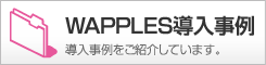 WAF：WAPPLES導入事例